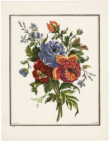 Plate 10
Jacinthe, Narcisse, Souci